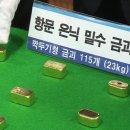황금알