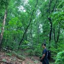 심경목장 이미지