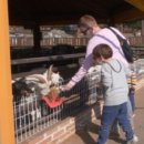 부자목장 이미지