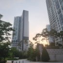 아름동_아름고앞 이미지