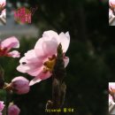 019-문산-019 이미지