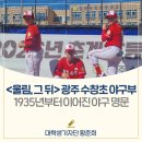 광주수창초등학교 네이버블로그