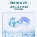 디크림슨