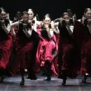 브런치 콘서트 이미지