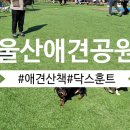 문수양궁장(주말) 이미지