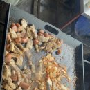 별찌펜션 이미지