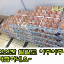 온고을마트 이미지