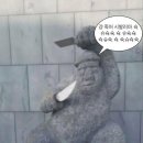 학포야영장 - 2215 | 학포야영장