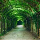 마음편한유외과의원 이미지