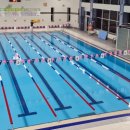 진접체육문화센터 수영장 이미지