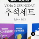 스프링데이봄날 이미지