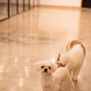 마오네 문덕점 이미지