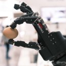 동화통운(주) 이미지