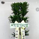 박정석 피시방 이미지