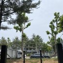 더블에이치스튜디오 이미지