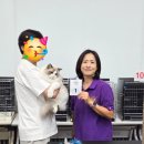 랙돌캐터리 알렉산더돌스 | 랙돌캐터리/TICA-KOCC CAT SHOW With-말론