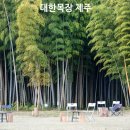 대한목장 | 제주 대한목장 후기, 넓은 초지에서 즐기는 서귀포 제주목장 카페