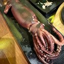 물빛회포차 | [군산맛집] 싱싱한 제철해산물 추천 가성비 나운동 횟집, 물빛회포차 방문후기