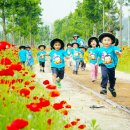 진교 메타세쿼이아길 이미지