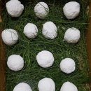 명가농장 이미지