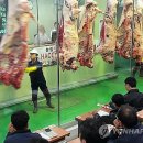 부경축산물도매시장 이미지