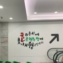 새롭게 오픈한 조천농협로컬푸드하나로마트 오픈 첫 날 방문 후기