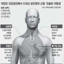 분당21세기의원 이미지