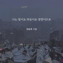 *나는 빛이요 파동이요 생명이므로 -빛 발자국- /정동재 이미지