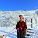 1월10~11일(1박2일) 녹동출발 제주도 한라산,윗세오름,어승생악 눈산행 이미지