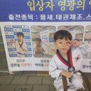 세움태권도 이미지