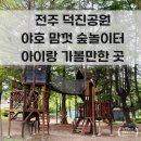 파란숲 | 전주 아이랑 가볼 만한 덕진공원 연화정도서관 숲 놀이터 방문 후기
