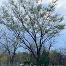 GS25 성수포레점 이미지