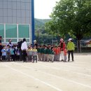 임하초등학교 이미지