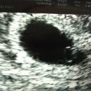 미소퀸산부인과의원 이미지