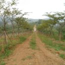 점수농장 이미지