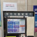 팔마수영장 | 순천팔마실내수영장 자유수영 후기