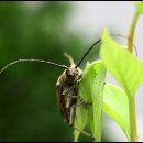 제천휴게소 이미지