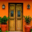 오렌지문 이미지