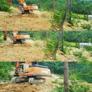(주)자연바라기
