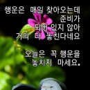 파출박사 이미지
