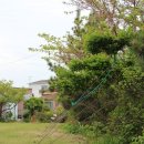 고성버드리민박 이미지