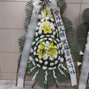 서울특별시보라매병원 이미지