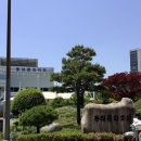 누리교육 | 부산유아교육진흥원 외부공연 끼누리 어린이뮤지컬 관람후기
