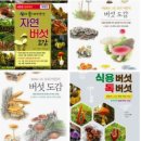이화재 이미지