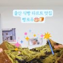 빵포유 이미지