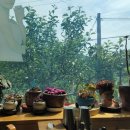 계족산산골보리밥 이미지