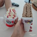 대전댁 6월 근황 소소한 일상 기록 집밥 마스터