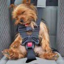 모래시계 펜션 이미지