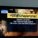 2013.5.27 sbs 모닝 와이드 샤프롱제도 이미지