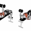 올데이PT 레이디 이미지